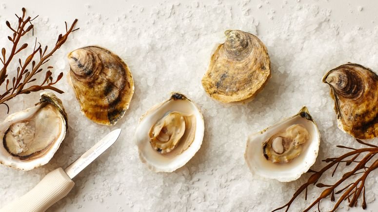 Shucked oysters on a bed of salt